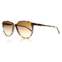 Polo 4097 Sunglasses Antique Tortoise 513413