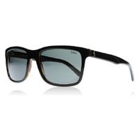 Polo 4098 Sunglasses Black-tortoise 526087