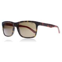 polo 4098 sunglasses matte tortoise red 560173