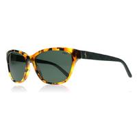 Polo 4093 Sunglasses Tokio Havana 550171