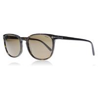 Polo 4107 Sunglasses Havana 500373