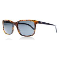 polo 4103 sunglasses jerry tortoise 554987