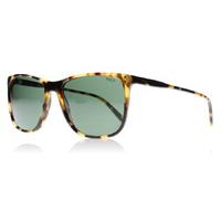 polo 4102 sunglasses tortoise 500471