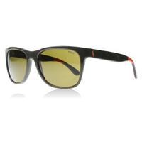 Polo 4106 Sunglasses Shiny Olive Green 557073