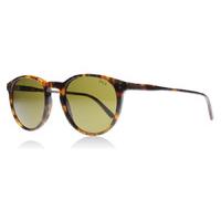 polo 4110 sunglasses tortoise 501773