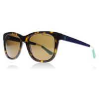 Polo 4105 Sunglasses Shiny Dark Havana 557783 Polariserade