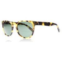 polo 4099 sunglasses vintage havana spotty 500471