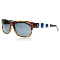 Polo 4083 Sunglasses Tortoise and Blue 544187