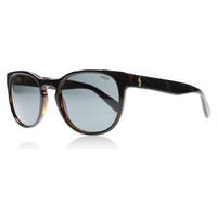 Polo 4099 Sunglasses Top Black On Jerry Tortoise 526087