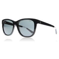 polo 4105 557287 sunglasses shiny black 557287