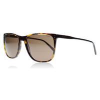 polo 4102 sunglasses tortoise 500373