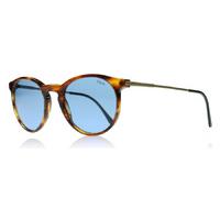 polo 4096 sunglasses tortoise 500772