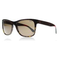 Polo 4106 Sunglasses Shiny Dark Havana 556873