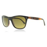 Polo Ph4071 - Black Sunglasses Top black on havana jerry 538373