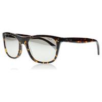 Polo 4071 Sunglasses Tortoise Shell 50036G