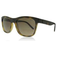 Polo Ralph Lauren 4120 Sunglasses Shiny Dark Havana 560273 55mm