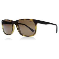polo ralph lauren 4088 sunglasses tortoise 518273 55mm