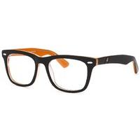 Polar Eyeglasses PL ANDY 5