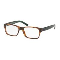 Polo Ralph Lauren Eyeglasses PH2117 5650
