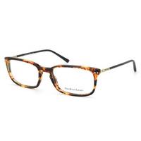 Polo Ralph Lauren Eyeglasses PH2088 5351