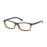 polo ralph lauren eyeglasses ph2131 5530