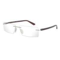 Porsche Design Eyeglasses P8205 E