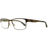 Polo Ralph Lauren PH1147 9147 Brushed Brown