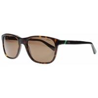 Polo Ralph Lauren PH4085 500373 Tortoise