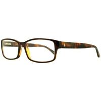 Polo Ralph Lauren PH2065 5035 Brown/Havana