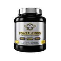 Power Amino Blue Bubblegum 600g