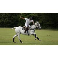 Polo Day for Two