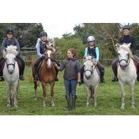 Pony Day at Willow Farm