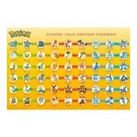 PokÃ©mon Partner PokÃ©mon - ...