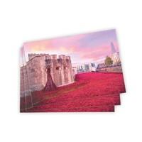 Poppies in the Moat Notecard pack