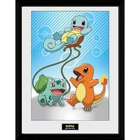 Pokemon Kanto Poster