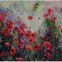 Poppies in a field blank card