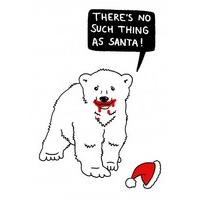 Polar Bear Santa | Unusual Christmas Card |KK1095