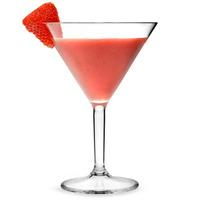 Polycarbonate Martini Cocktail Glasses 10oz (Case of 24)