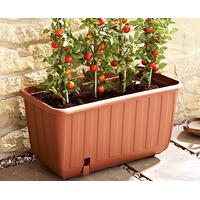 Portable Self-watering Tomato Planter