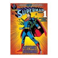 Postcard - Superman - Krytonite - 10 x 15cm - Pyramid