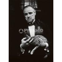 Postcard - The Godfather - 10 x 15cm - Pyramid