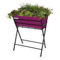 Poppy Planter - Purple | VegTrug