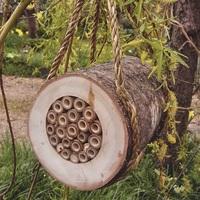 Pollinating Bee Log