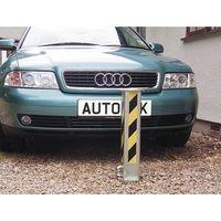 POST - TELESCOPIC SECURITY