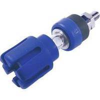 pole terminal blue 30 a cliff cl159730 1 pcs