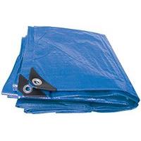 Polyethylene Tarpaulin 3m X 5m