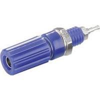 pole terminal blue 10 a sci 1 pcs