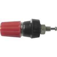 pole terminal red 10 a sci 1 pcs