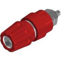 Pole terminal Red 63 A SKS Hirschmann PKNI 10 B 1 pc(s)