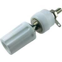 Pole terminal White 15 A Cliff CL1509 1 pc(s)